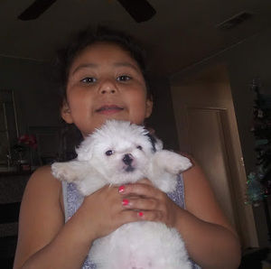 Meet your Posher, Claudia